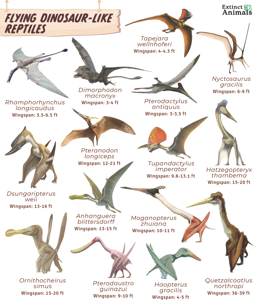 List of Flying dinosaurs