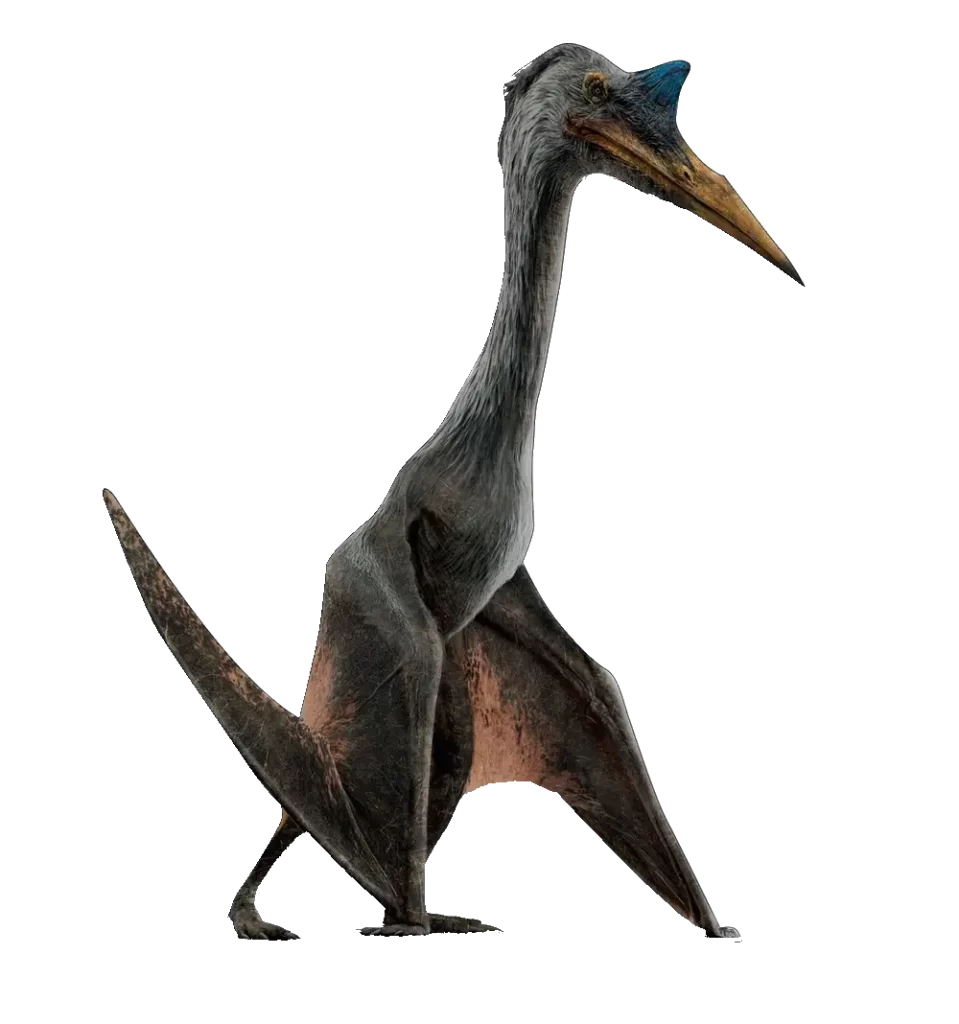 Quetzalcoatlus rendered image 