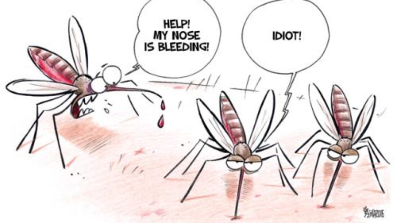 illustrated image of mosquito partying