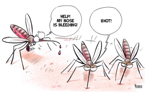 illustrated image of mosquito partying