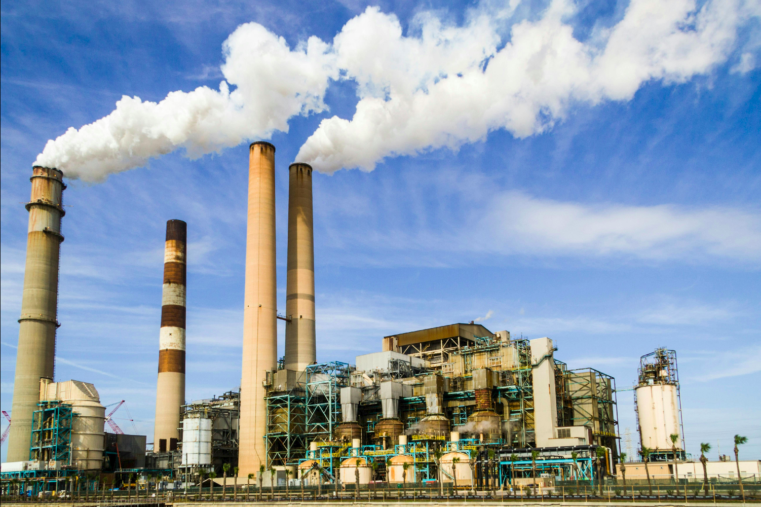 What is a Carbon Footprint?